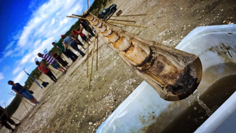 Bekijk Strand en bos activiteiten Water managment